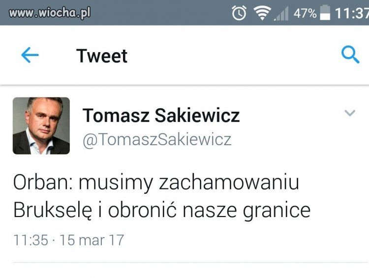 Dziennikarz 