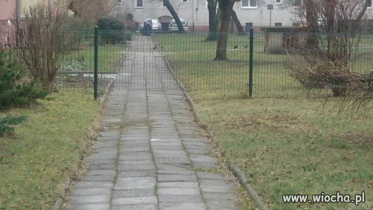 Wrocław i płot na środku chodnika