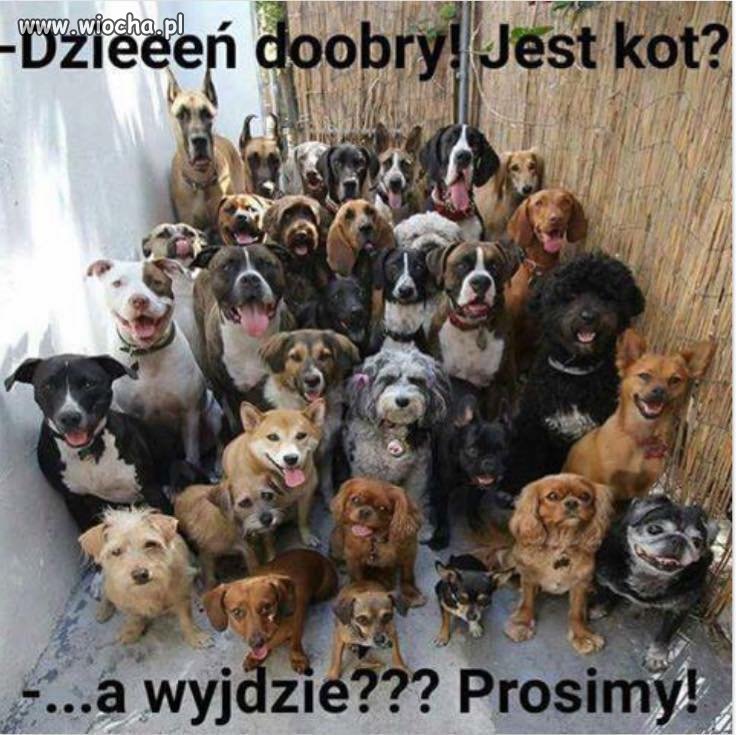 A wyjdzie się pobawić?