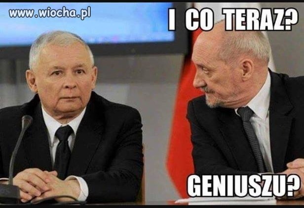 Kaczopis