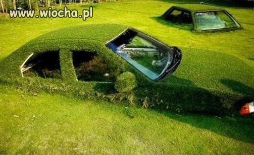Najbardziej zielone auta na świecie