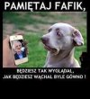 Pamiętaj