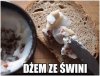 Dżemik...