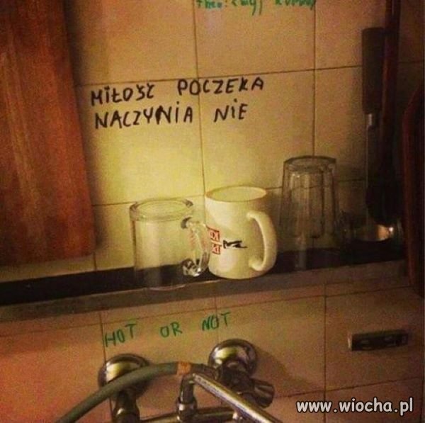 Pewnie studenci