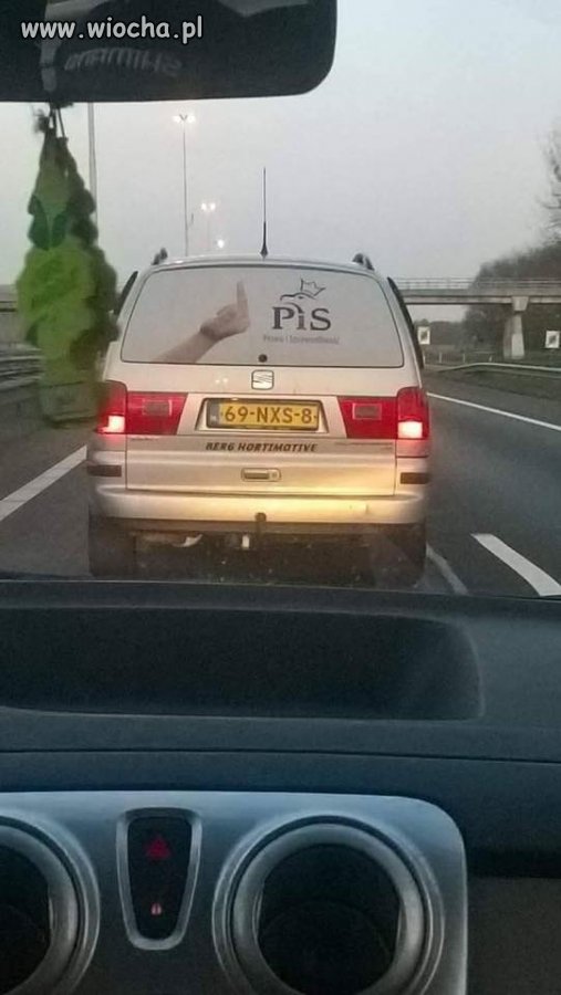 Holandia kocha Pis .