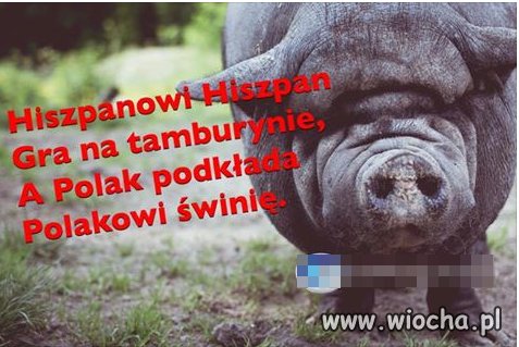 Z Tuskiem