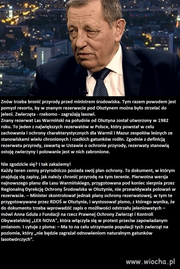 Ironia