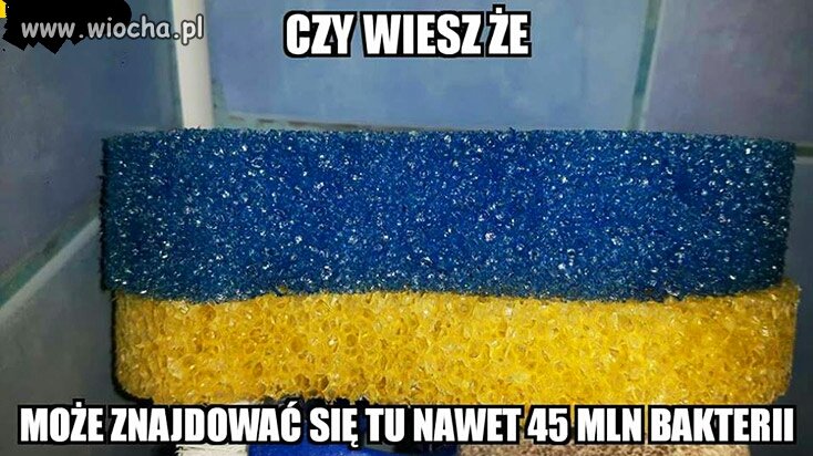 Zgadzam się 