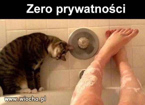 Ciekawski