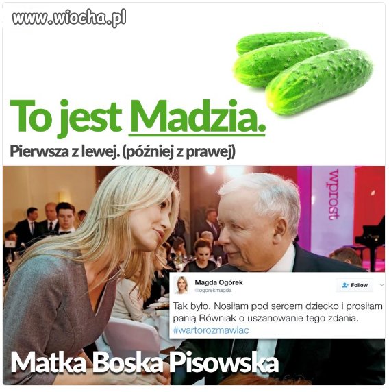 To jest ogórek