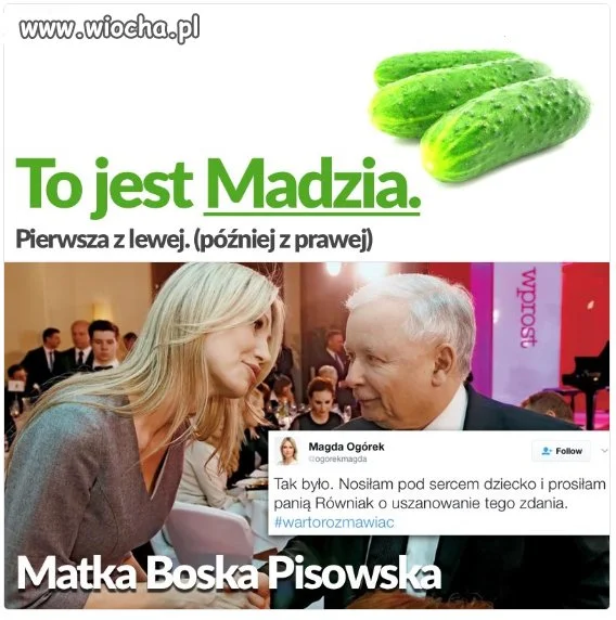 To jest ogórek