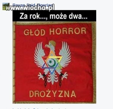 Żyd w Polsce się panoszy