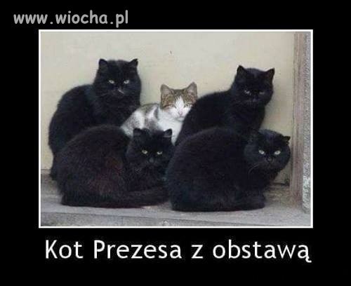 Ochrona