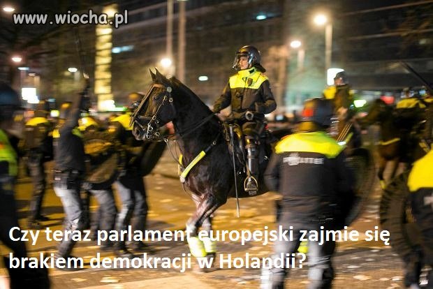 Zobaczymy co na to komisarz z PE o Holandii