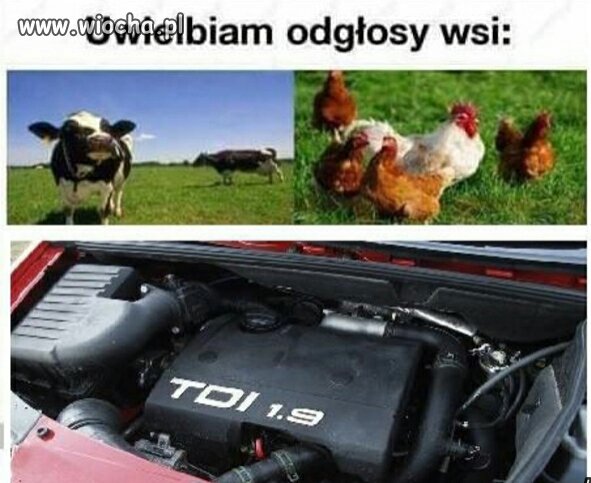 Wiejskie odgłosy i zapachy.