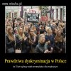 Feministki- Żałosna wersja kobiety