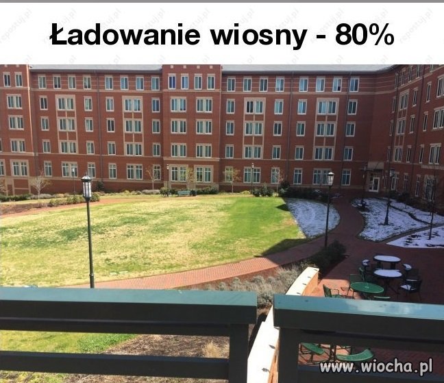 Na poprawę humoru