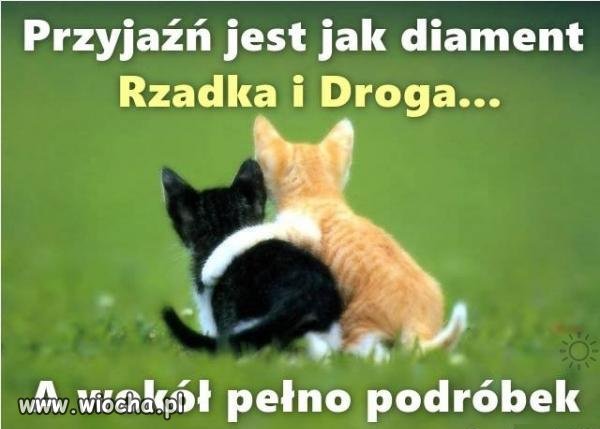 Tak jak i z tym portalem