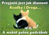 Tak jak i z tym portalem