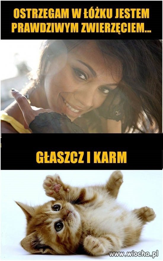 I coś w tym jest