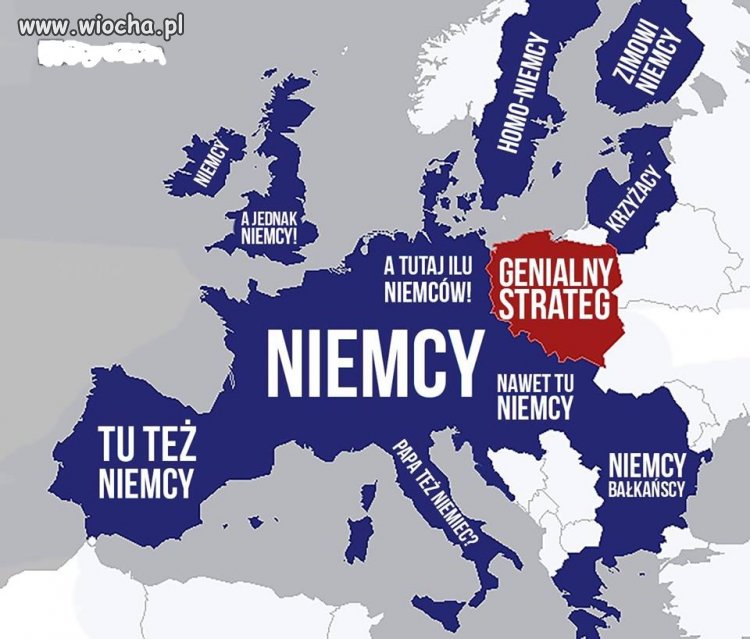 Chciałabym widzieć minę kaczora