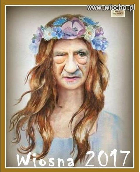 Niczym Świtezianka