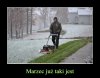 Gdy nie możesz doczekać się wiosny.