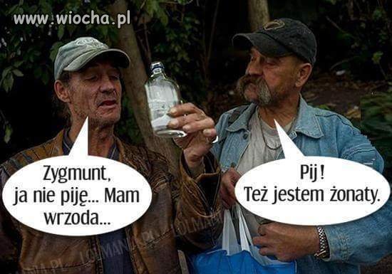 Zygmunt 