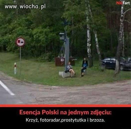 Tytułu brak
