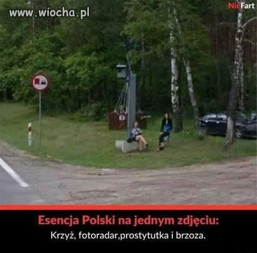 Tytułu brak