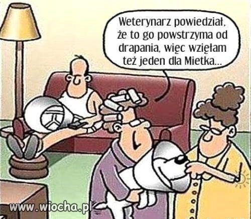 I Mietek ma zablokowany odruch bezwarunkowy.