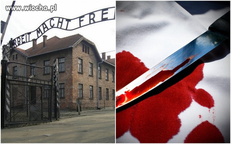 Skandal w Auschwitz. 