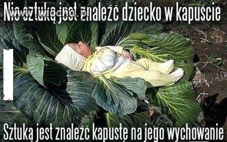 Oto Polska właśnie