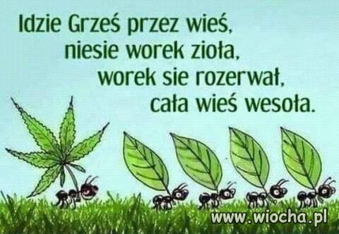 O grzesiu...