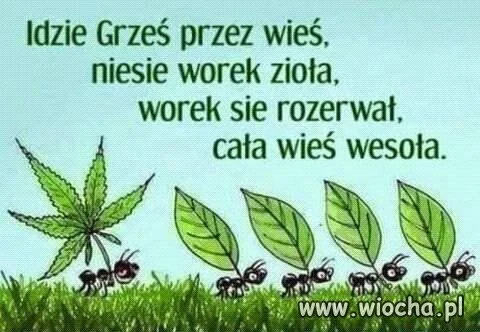 O grzesiu...