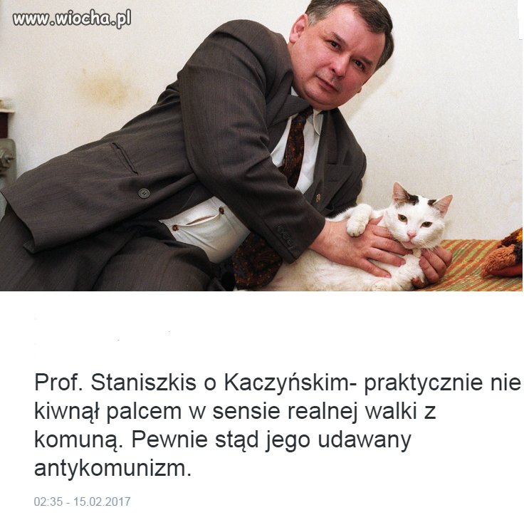 Profesor