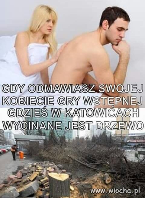Temat wycinki drzew to zamierzchła przeszłość