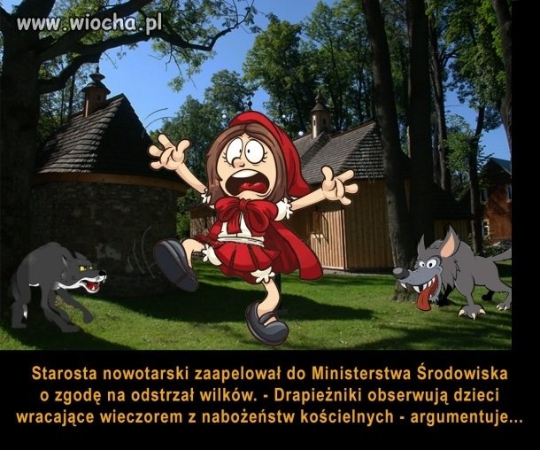 Naczytał się o Czerwonym Kapturku i wyobraźnia pracuje...