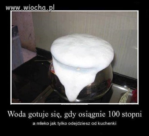 Samo życie