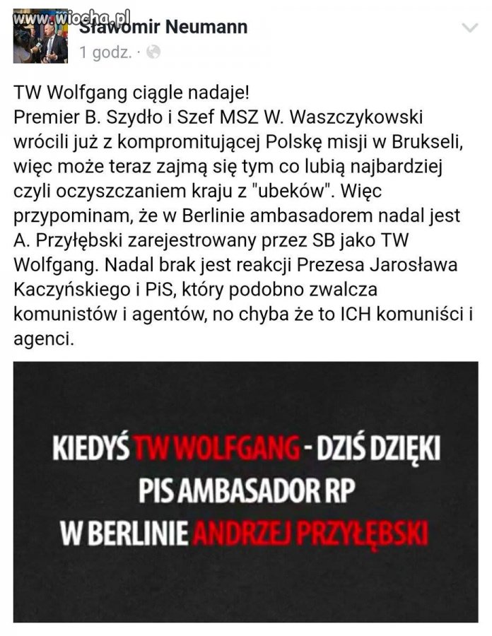 TW wolfang