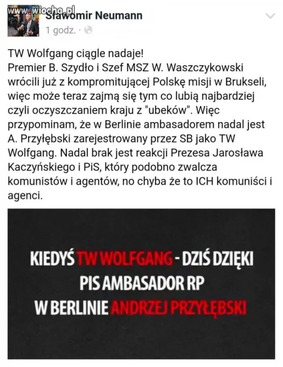 TW wolfang