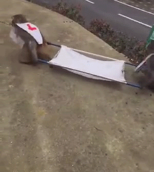 LOL...