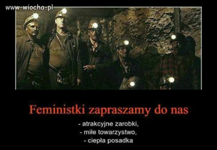 Oferta pracy 