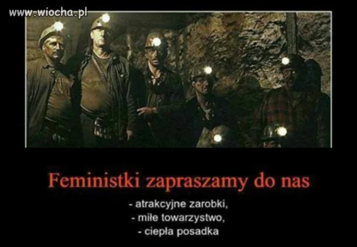 Oferta pracy 