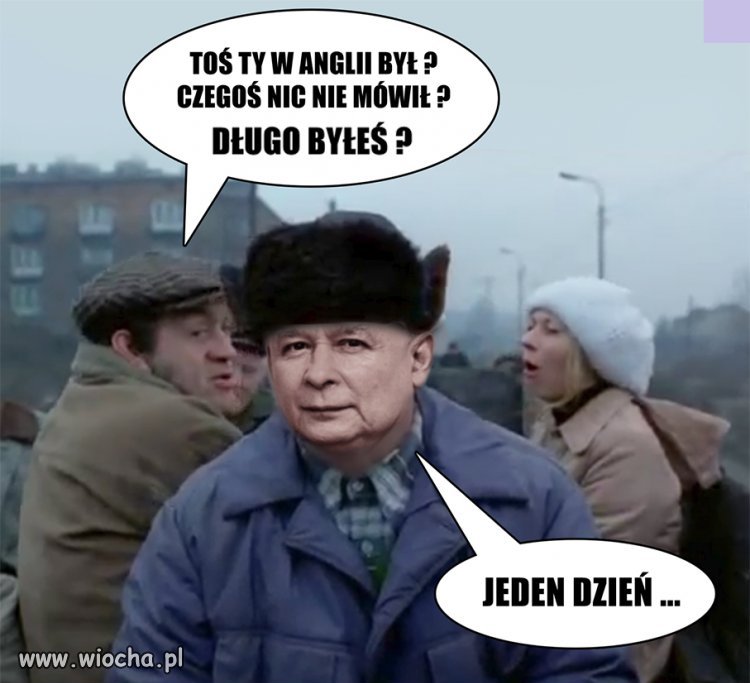 Miś na miarę naszych czasów