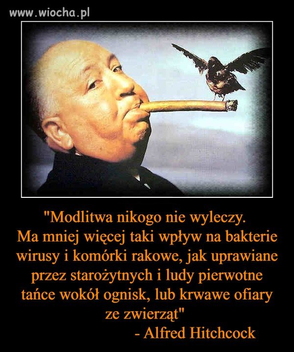 Zawsze warto słuchać mądrych ludzi