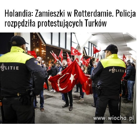 Zamieszki w Holandii? O cholera, panie Timmermans