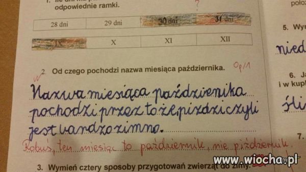 Edukacja