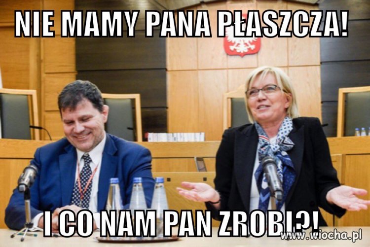 Miś : ciąg dalszy 