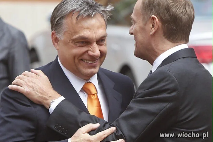POLAK WĘGIER DWA BRARTANKI...